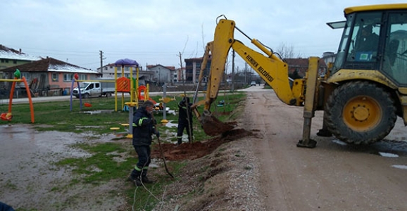 HENDEK'TE AĞAÇLANDIRMA ÇALIŞMASI