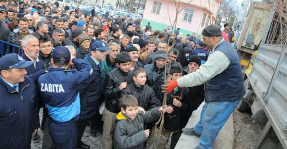 HENDEK'TE HURMA ATAĞI