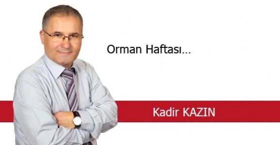 ORMAN HAFTASI