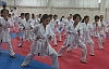 HENDEK HALK EĞİTİM KARATE KURSLARI