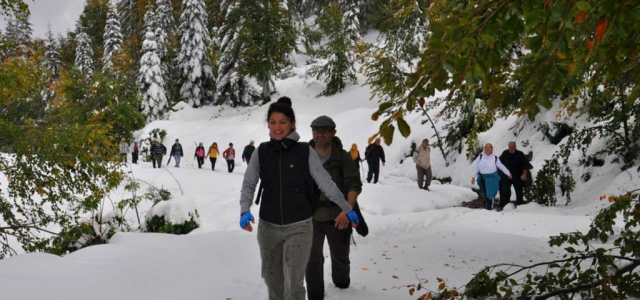 YAYLA'DA SONABAHAR YÜRÜYÜŞÜ