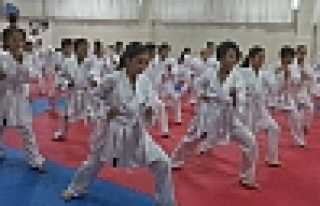 HENDEK HALK EĞİTİM KARATE KURSLARI